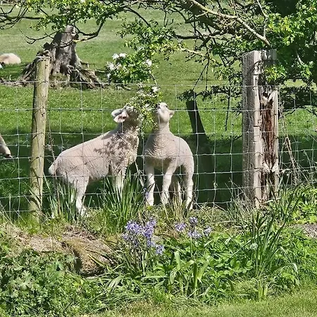 Eastcote Farm - Spacious 5-bed With Views, Garden & Playroom *